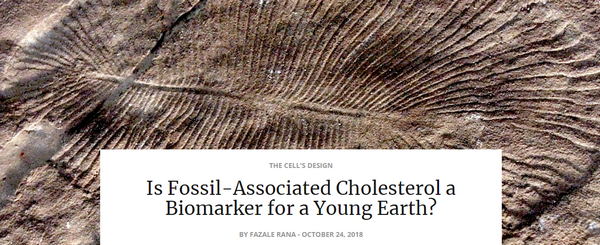 fossilassociatedcholesterol